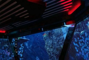 杭州ktv低消费多少（杭州KTV亲民消费新探）