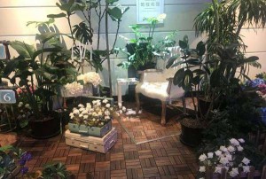 lava酒吧（熔岩炙热酒吧）