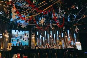 杭州魅力金座KTV：探索奢华包厢文化中的小费艺术