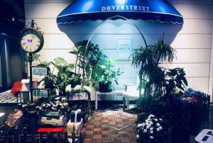 自酿葡萄酒销售方法（创新自酿葡萄酒营销策略：从家到市场的销售艺术）