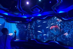 酒增值销售话术（酒品价值提升：创新销售策略与话术指南）